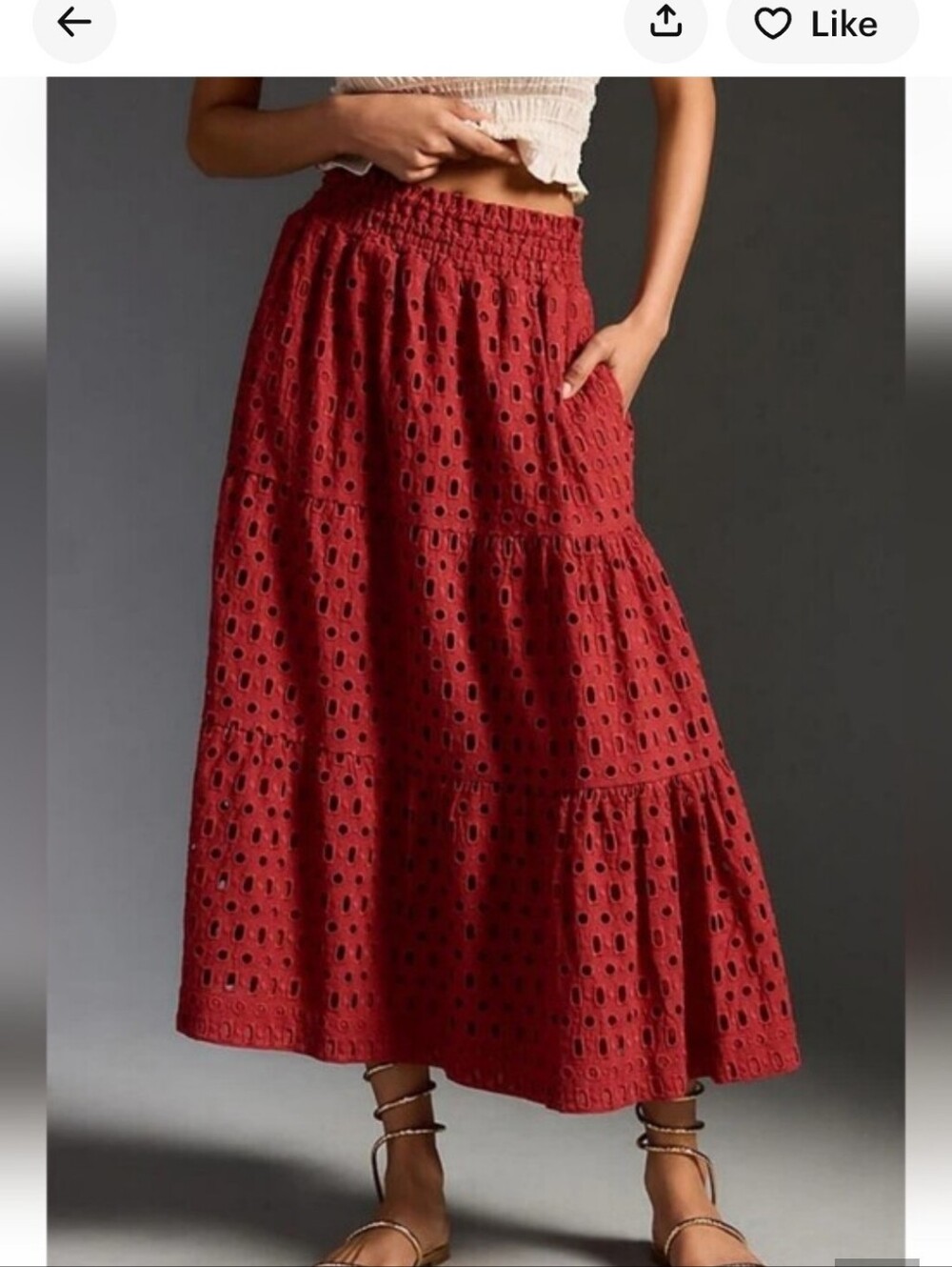 Anthropologie Somerset Eyelet Edition Maxi Skirt